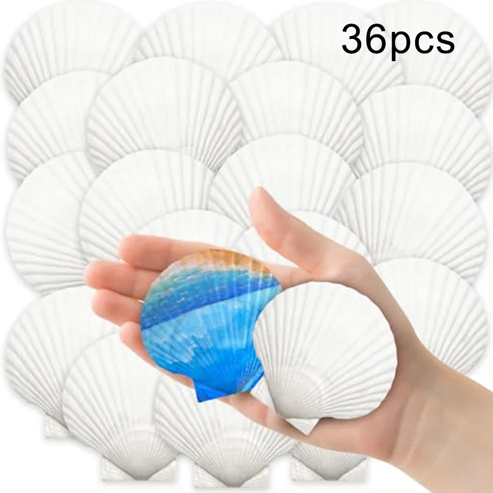 2''-3'' DIY Craft Shells Creative Decoration Ideas For Parties Summertime Party Decor Thematic Decoration Ideas
