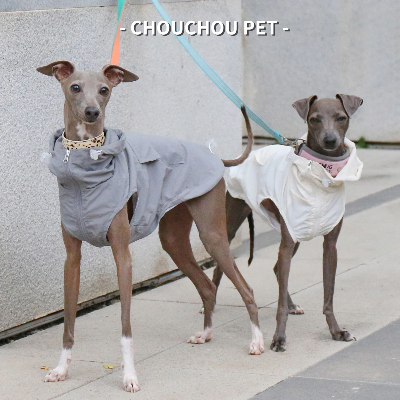 Gilet à capuche pour animaux de compagnie, lévrier Whippet Iggy, imperméable et imperméable, vêtements pour chiens à fermeture éclair réglable, automne