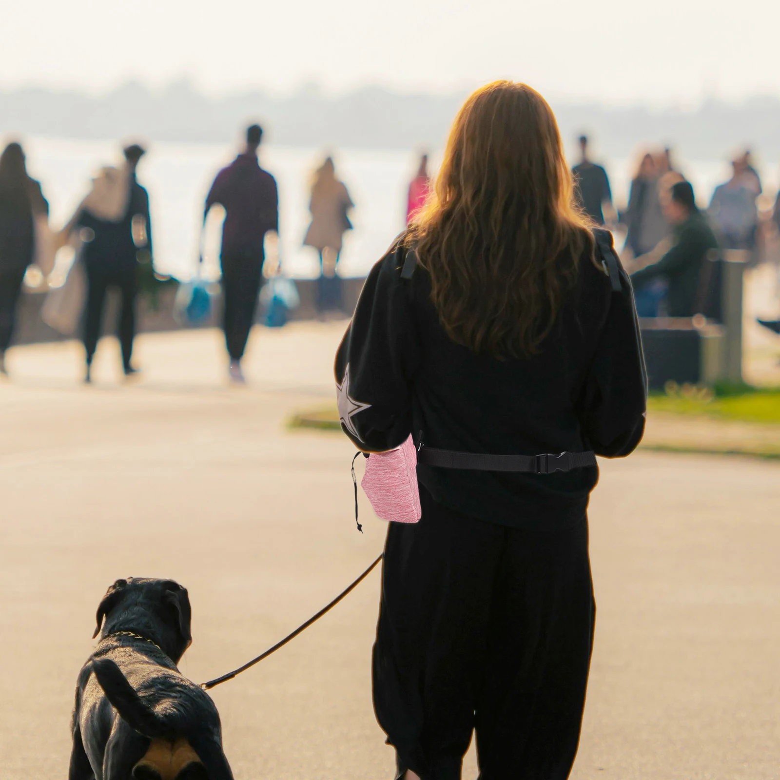 

Durable Pet Treat Bag Oxford Cloth Dog Training Pouch Snack Holder Portable Outdoor Walking Fanny Pack Dog Treat Pouch