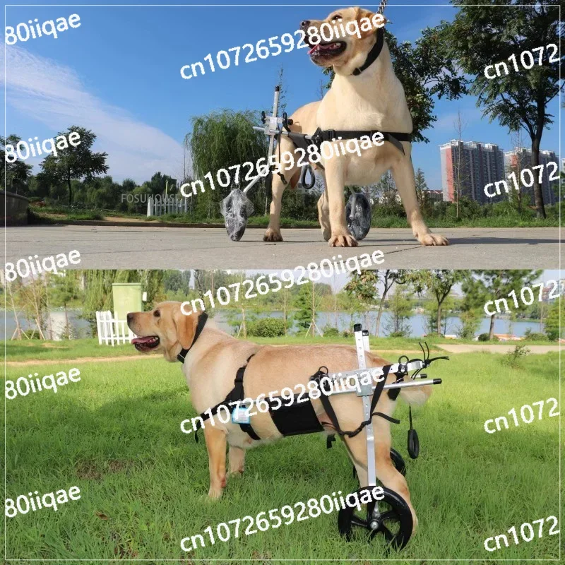 

Disability Wheelchair Hind Limb Rehabilitation Training Spondylitis Paralysis Large Leg Scooter Dog Accessories Auxiliary Dog