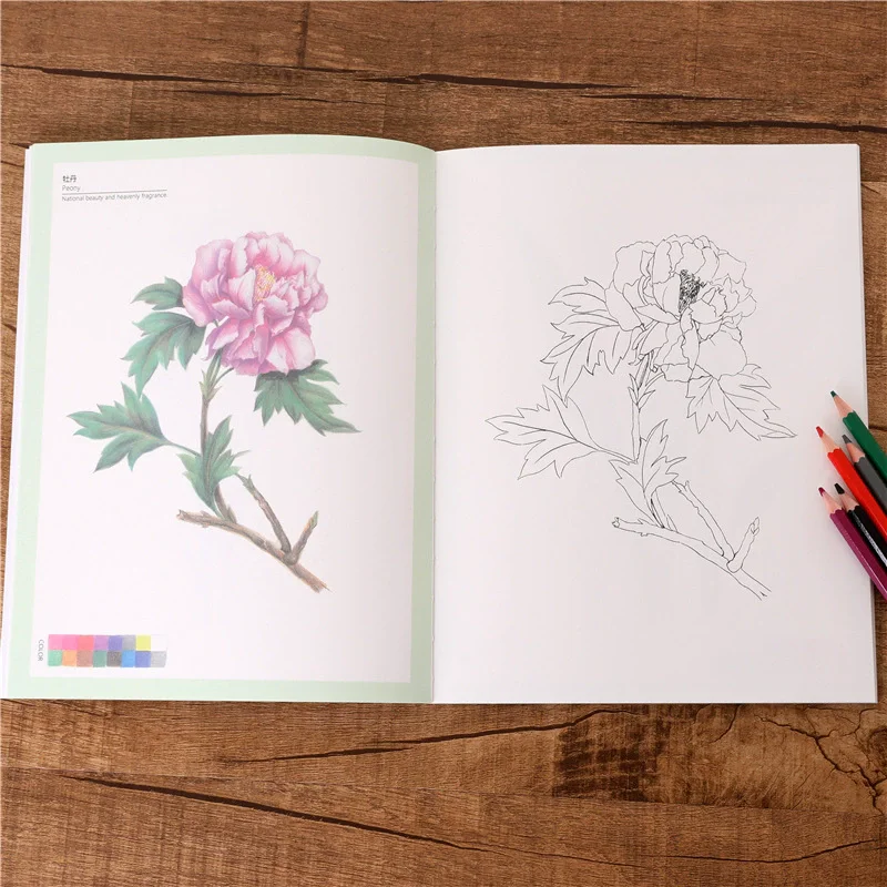 Four Seasons Flower English Coloring Book Is Easy For Everyone Botanical Art Painting Book