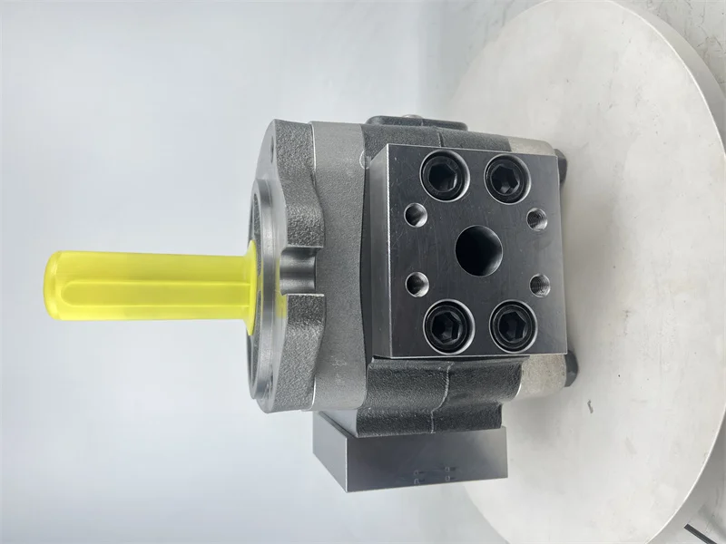 IPV series IPVP3 IPVP4 IPVP5 IPVP6 IPVP7 IPV3 IPV4 IPV5 IPV6 IPV7 IPVS5 IPVS6 Hydraulic Gear Pump