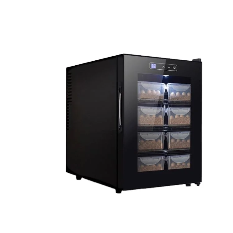 Hatching  Tortoise Egg Incubator Machine Hatched Turtle Eggs Fully Automatic Egg Incubator For Reptile