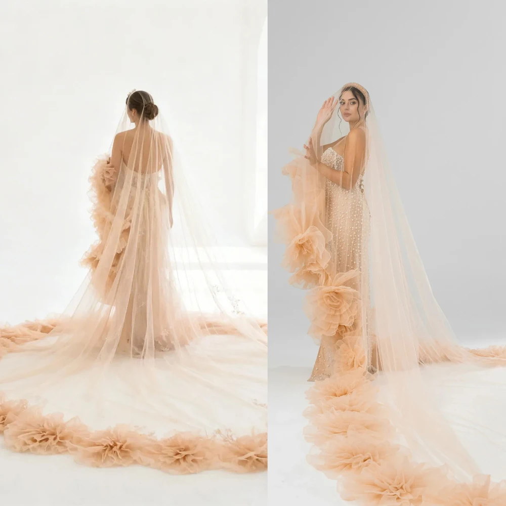 Elegant Wedding Veils Tulle Lace Champagne White Ivory Tulle Bridal Veil with Combs 3 Meters Veu de Noiva Longo Customized