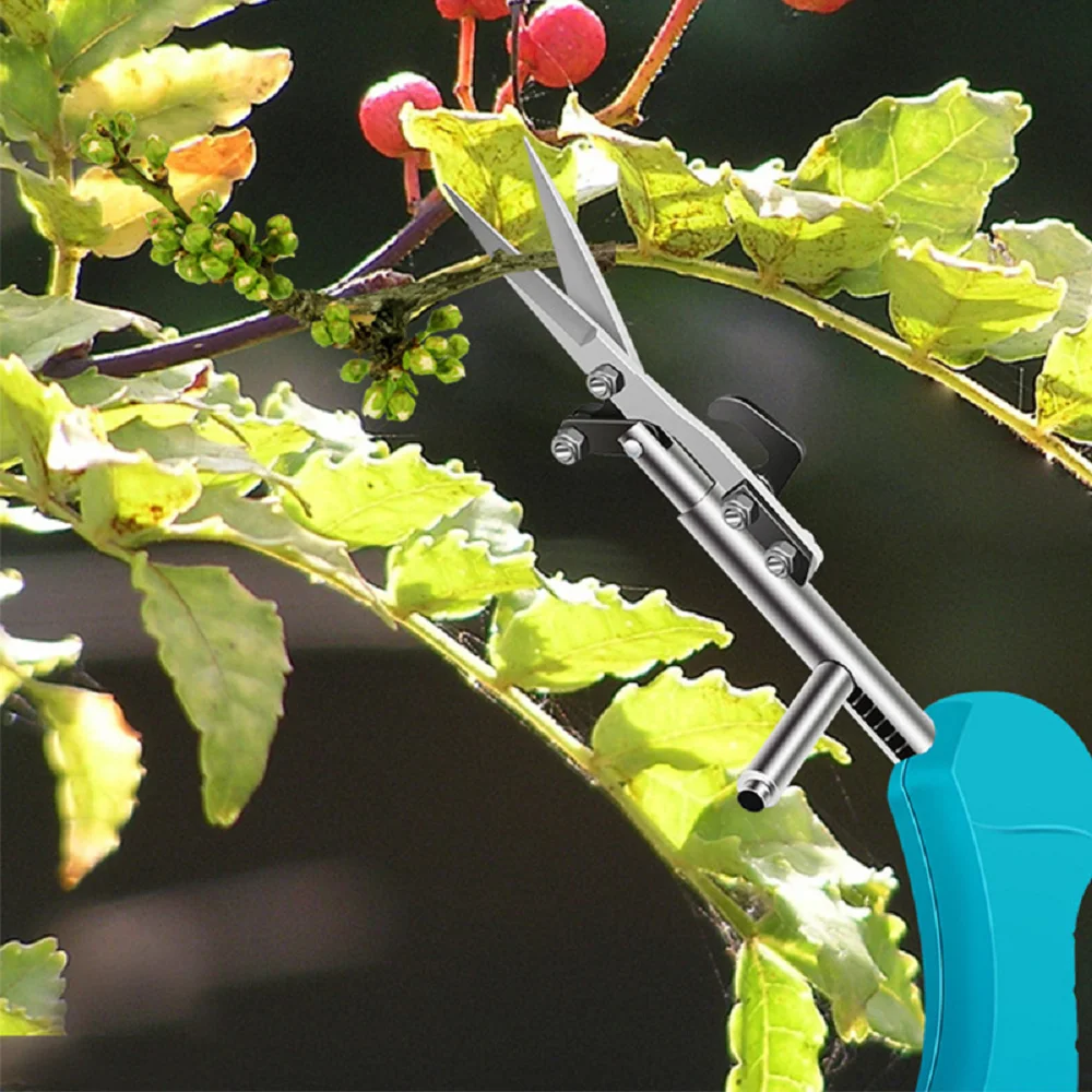 New Picking Prickly Ash Fruit Scissors Picking Peppers Goji Berries Flowers Shears Bud Tip Gardening Pruning Shears Hand Tools