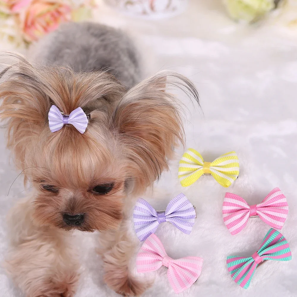 

Small Striped Printed Hairpin, Ribbon Hair Accessories, Yorkshire Teddy, Poodle Dog