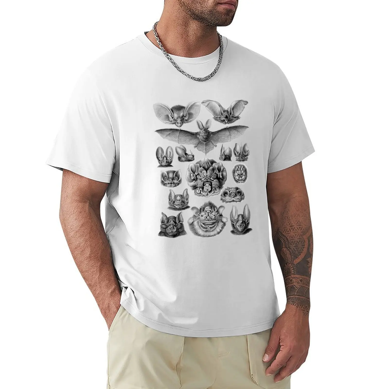 Ernst haeckel t-shirt-chiroptera (fledermaus), kunstformen der natur-1904 t-shirt plus size tops shirts grafische teppiche männer kleidung