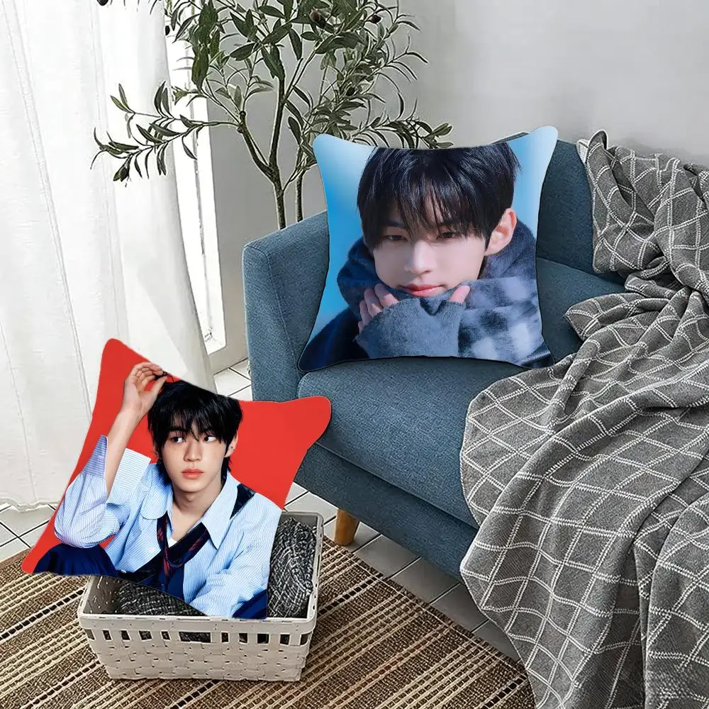 Handsome Kpop Male Idol D-Dohoon Cushion Cover Fluffy velvet Nordic style plush Living room sofa decorative
