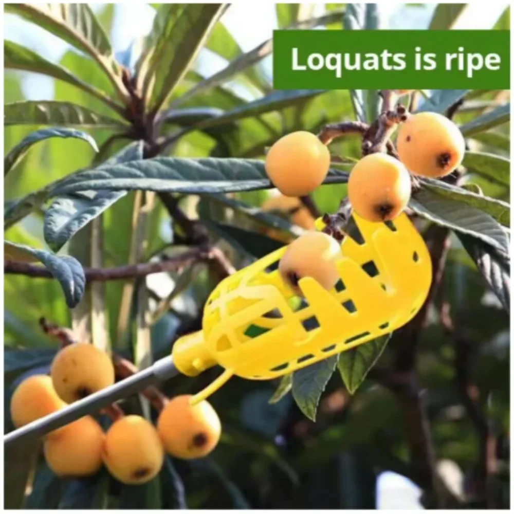 Dispositivo Recolector de Frutas para Jardín y Granja, Cesta Profunda, Cabezal Recolector de Frutas, Conveniente para Recoger Frutas, Recolector de Manzanas y Melocotones