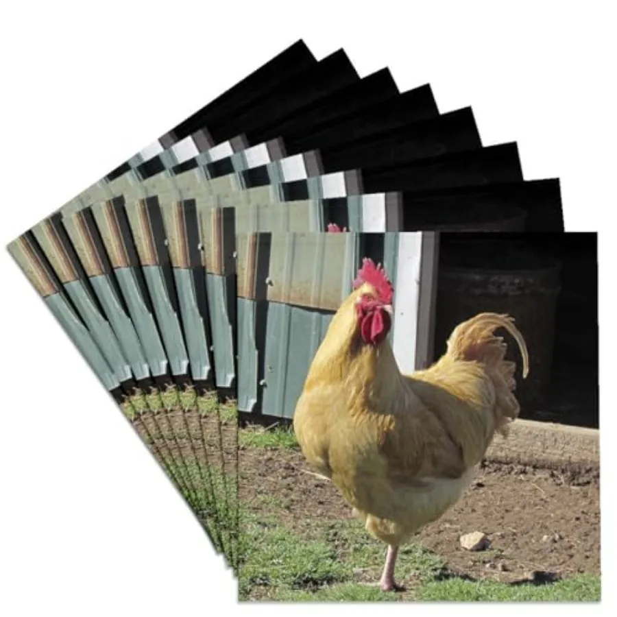 

CST_50406_4 Набор керамических подставок для кружек Tan Rooster, 8 шт.