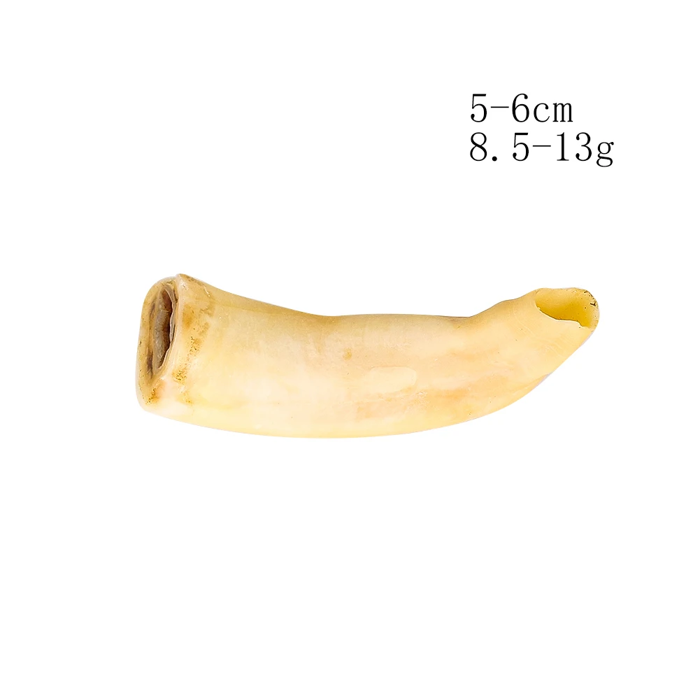 Natürliches Pferdezahn-Material für DIY-Halsketten-Anhänger, Handwerkskunst, Sammlerstück, Deko-Objekt für Zuhause und Tisch – Detail 3