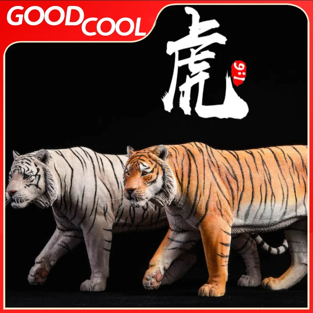 JXK JXK012 1/6 Scale Bengal India Golden And White Tiger Resin Large Wildlife Animal Model 12 inch Action Figure Accessory Toys