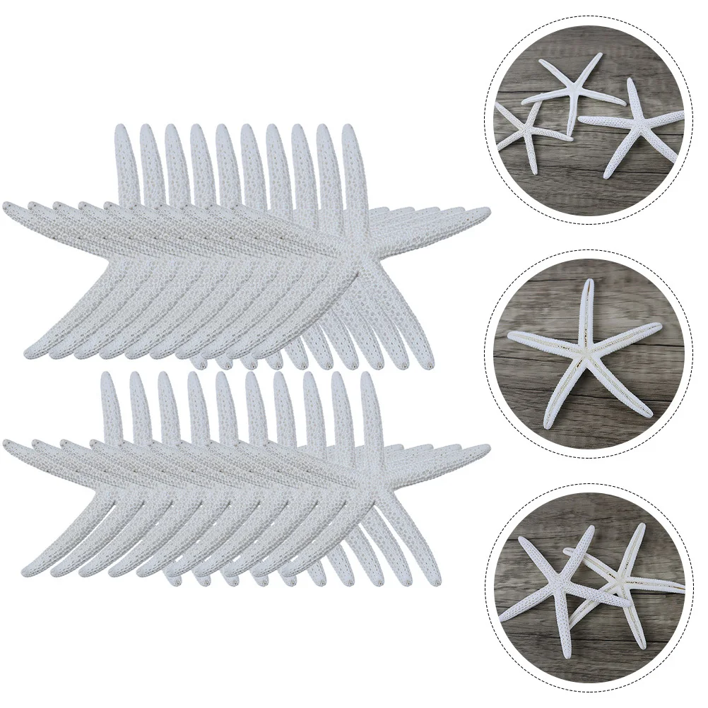 

20Pcs Natural Sea Star Decorations Decorative Sea Stars for Office Hotel Bar Desk Display Fish Tank Decorating