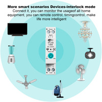 WIFI Smart Time Switch Energy Meter KWH Monitoring Timer Relay 1P 63A Smartlife Mobile Phone Remote Control Circuit Breaker