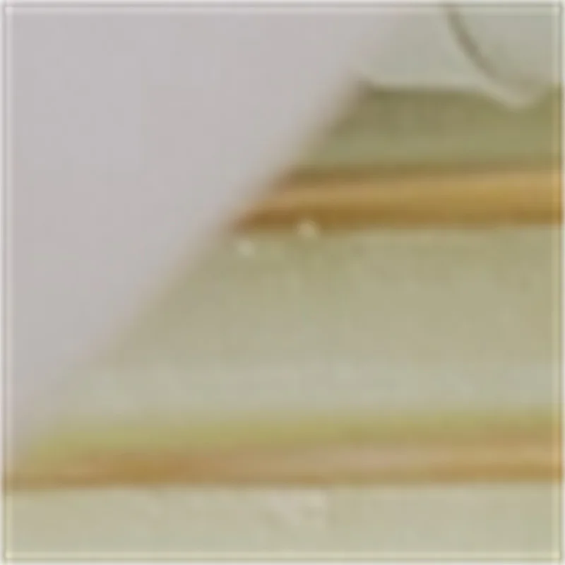 

Автоматическая электрическая машина для приготовления шашлыка, сувлаки, сатая, донера и других видов мяса на шампурах