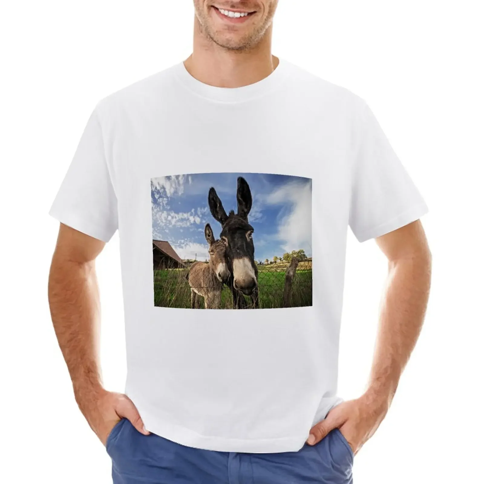 Donkeys! T-Shirt vintage Blouse plus sizes tops men clothes