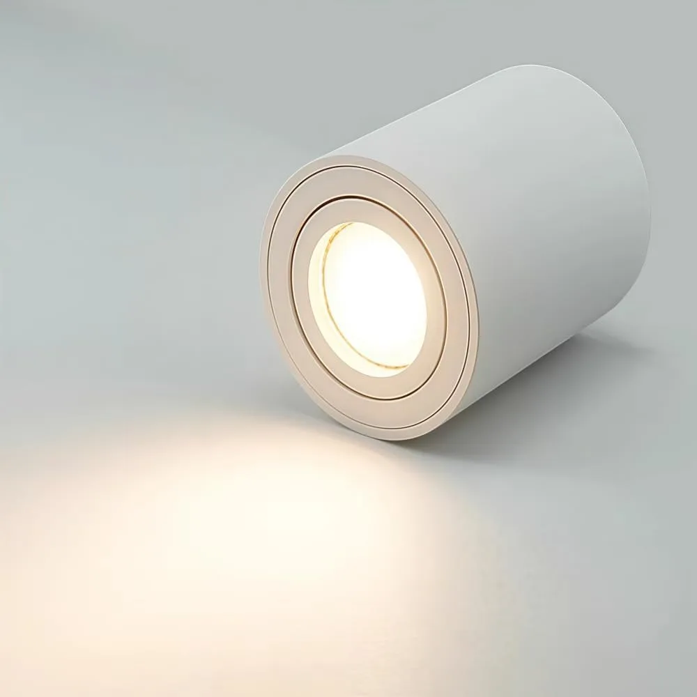 JOYINLED Round White Surface Mount Ceiling Light Frame, LED Spotlight Housing, GU10 Downlight Housing DIA 80mm 30° Adjustable