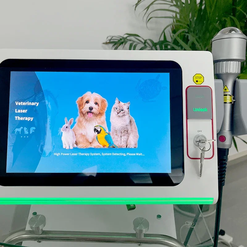 Cold Veterinary Laser Therapy Laser Medical Therapy Physiotherapy Equipment for Animals Pain and Wound Healing