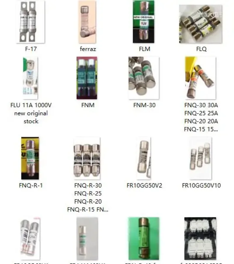 5PCS/LOTS FNM-30 FNM-25 FNM-20 FNM-15 FNM-12 FNM-10 FNM-9 FNM-8 FNM-7 FUSIBLE 250VAC
