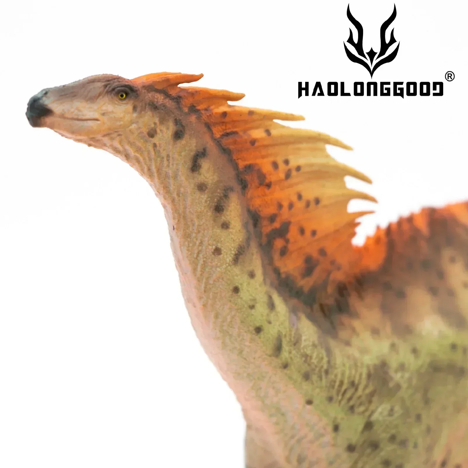 HAOLONGGOOD-لعبة ديناصور كلاسيكية ، Amargasaurus ، نموذج حيوان ،