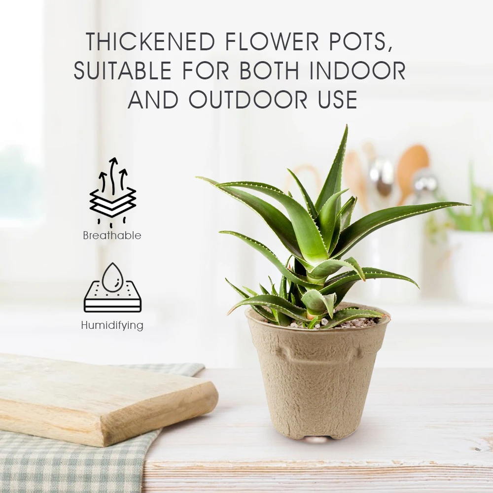 Home Garden 11cm Round Biodegr - Seed Starter Trays 评论和价格