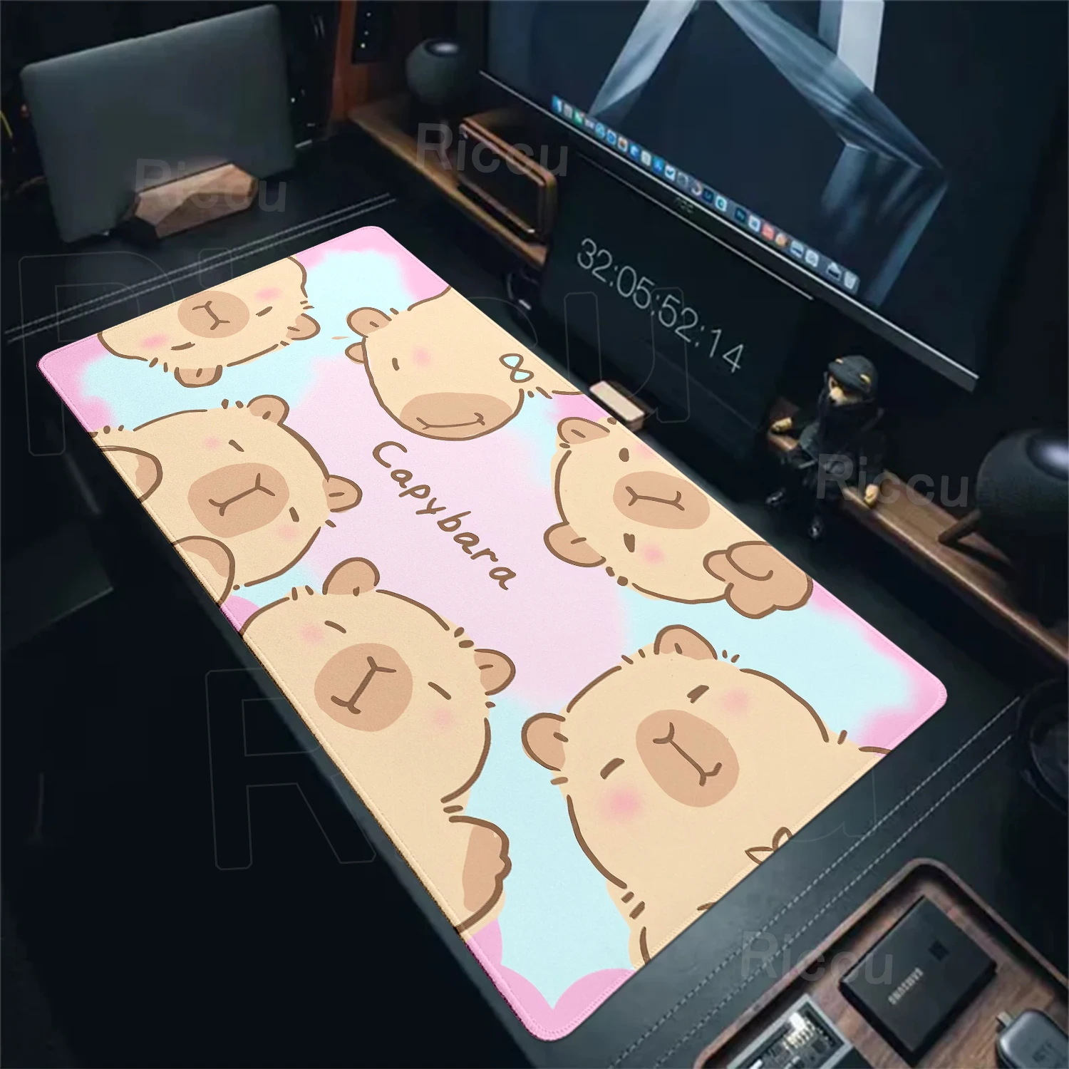 Capybara-11