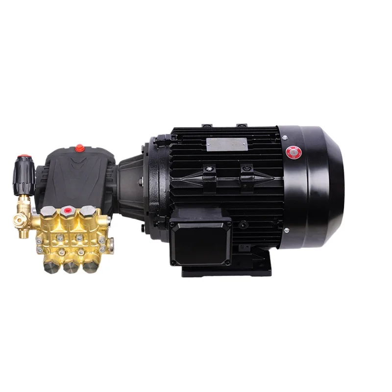 30-50L High Pressure Sprayer Cleaning Machine Motor Pump Head Parts Combination All Copper Pump Head Motor Greenhouse Fogging