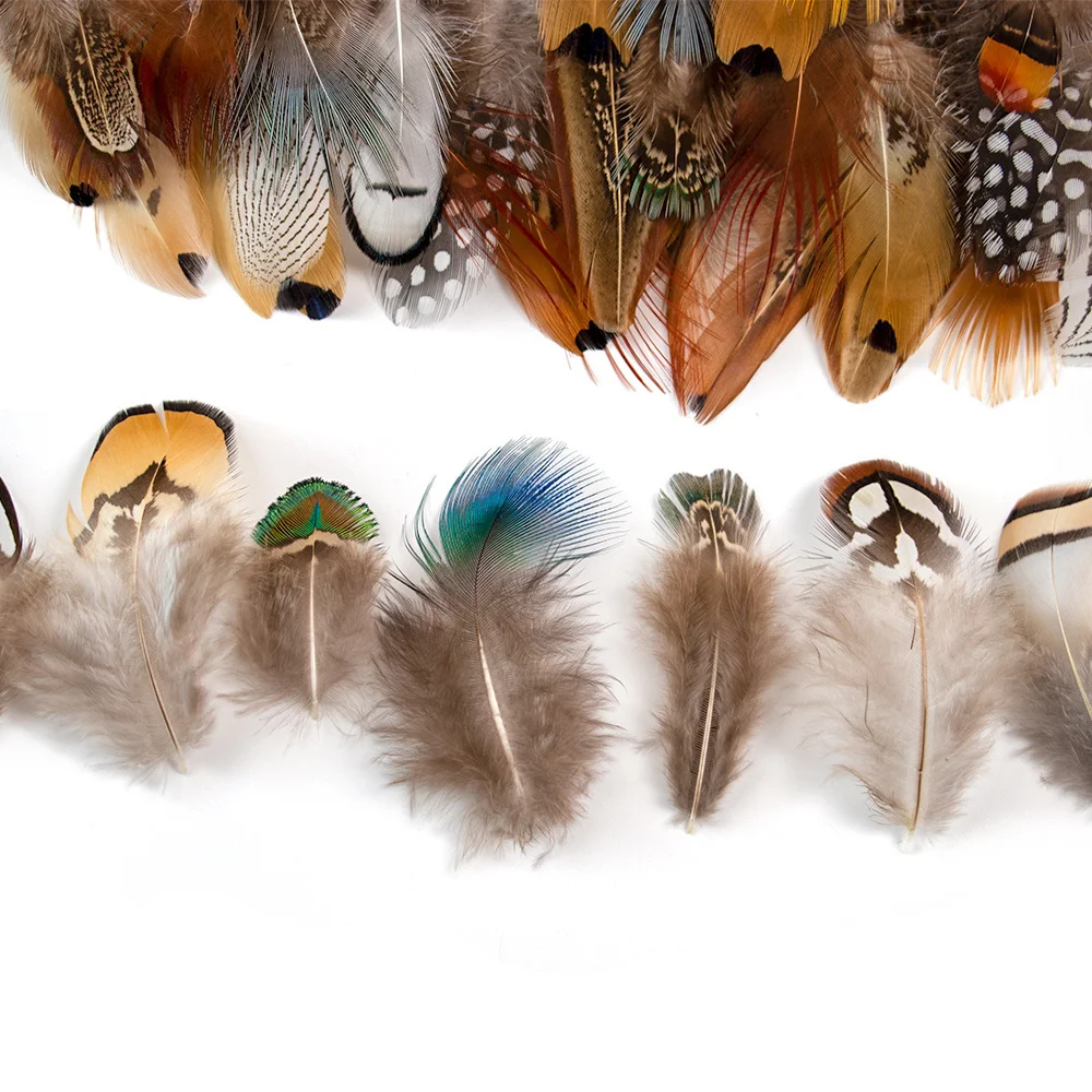 Wholesale Natural Peacock Chicken Duck Pheasant Feather for Small Dream Catcher Plumas Diy Carnival Craft Accessories Decoration