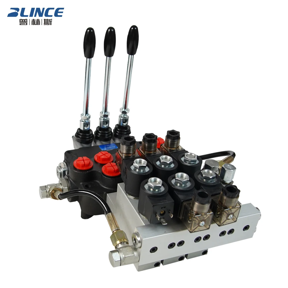 P80 Radio Remote Controller 80 L/min (21gpm) Hydraulic Solenoid Valve DC 24v 12 Volt Hydraulic Control Valve Joystick for Crane