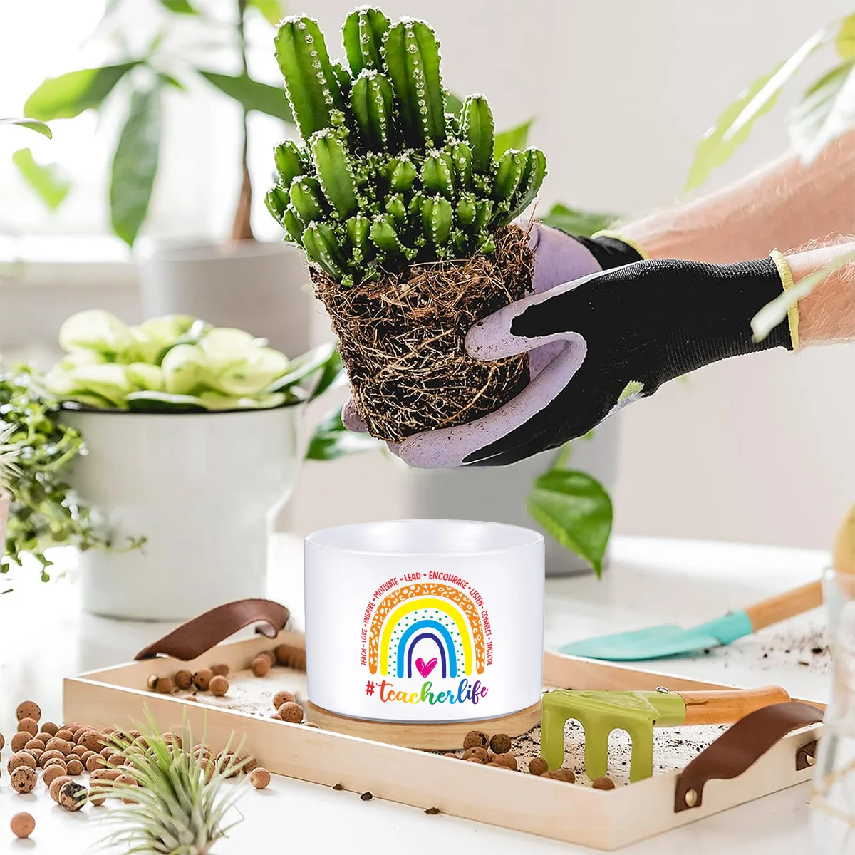 Ladies and gentlemen, teachers thank succulent plant flowerpots for returning to school. teacher birthday and retirement gift