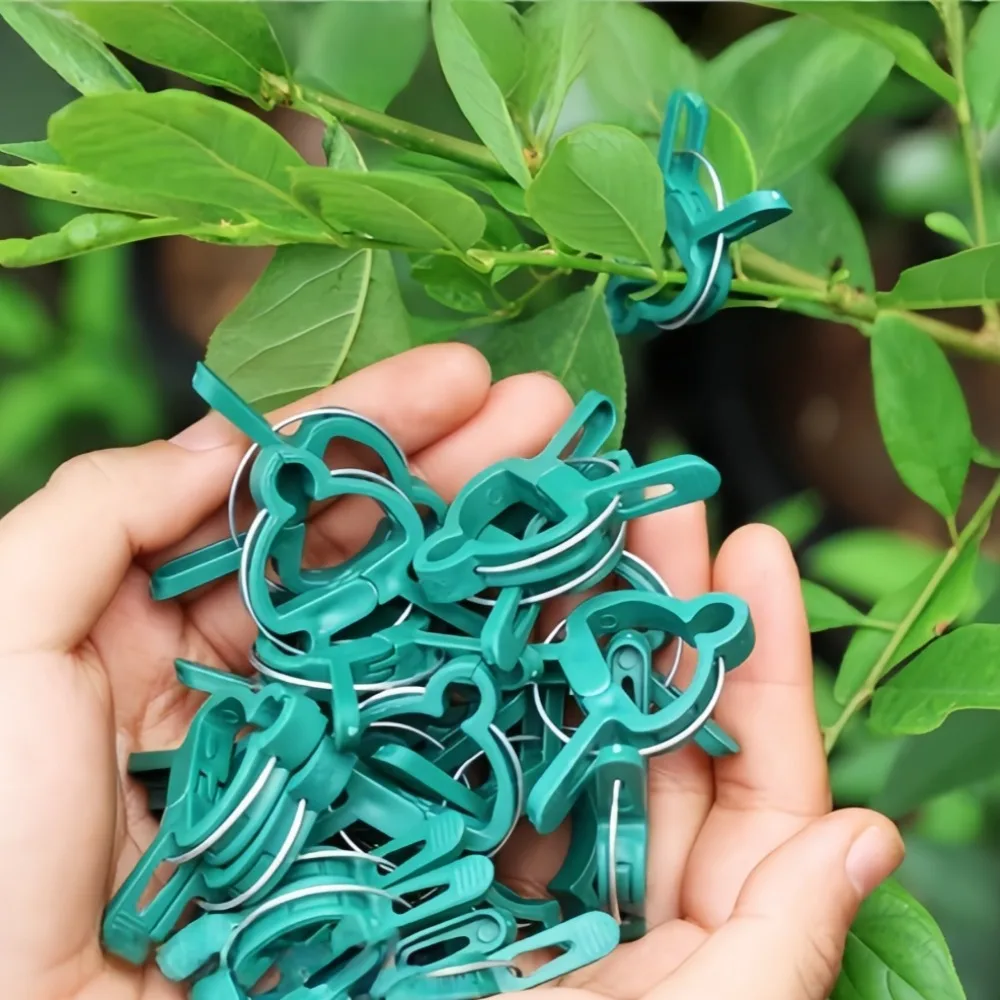 20pcs Plant Plastic Fixed Clips Reusable Swallow Clip Fixing Stems of Flower Vine Vegetables Tomatoes Fastener Garden Supplies