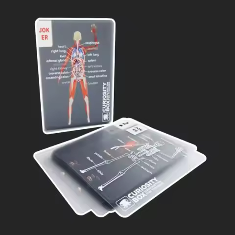 Full Skeleton Human Anatomy Playing Cards X-Ray Designs Educational Mannequin Body Deck The Body Deck Skeleton Playing Cards Kit