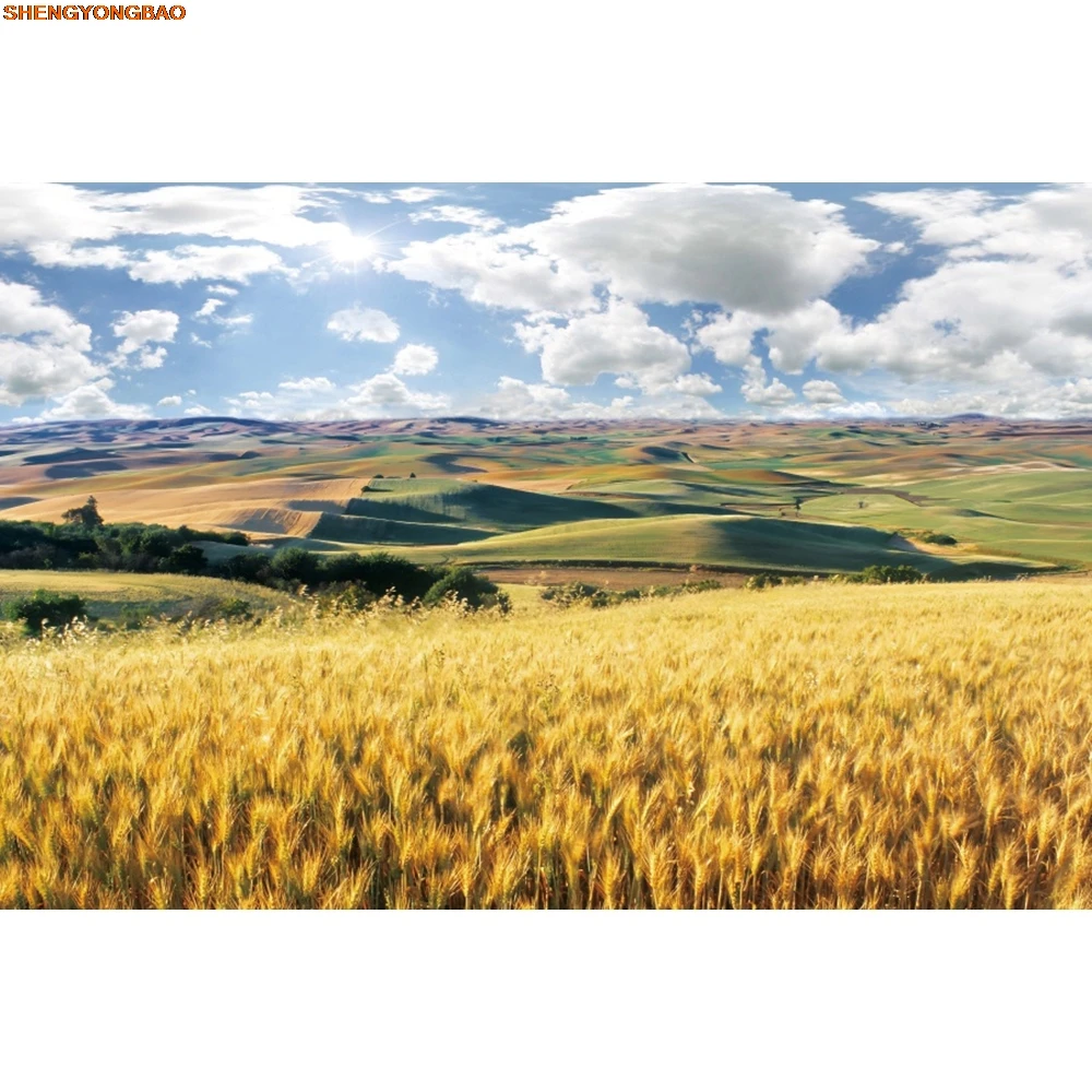 Фон с пшеничным полем, осенняя ферма, золотое поле, небо, белые облака, тыквы, урожай, природа, фон для фотосъемки, декор для фотостудии