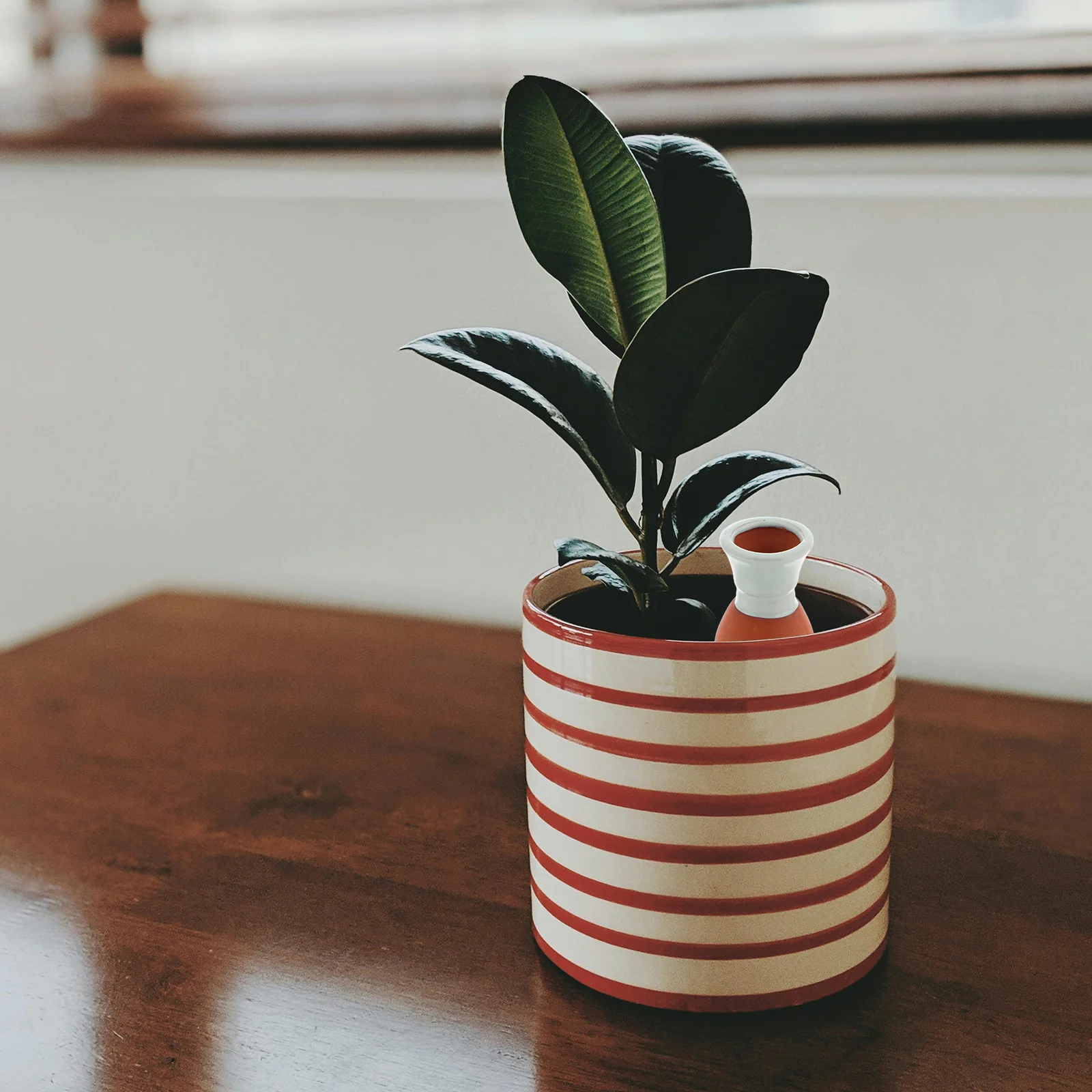 

Terracotta Self Plant Waterer Automatic Device Indoor Outdoor Garden Irrigation System Potted Succulents Flowers