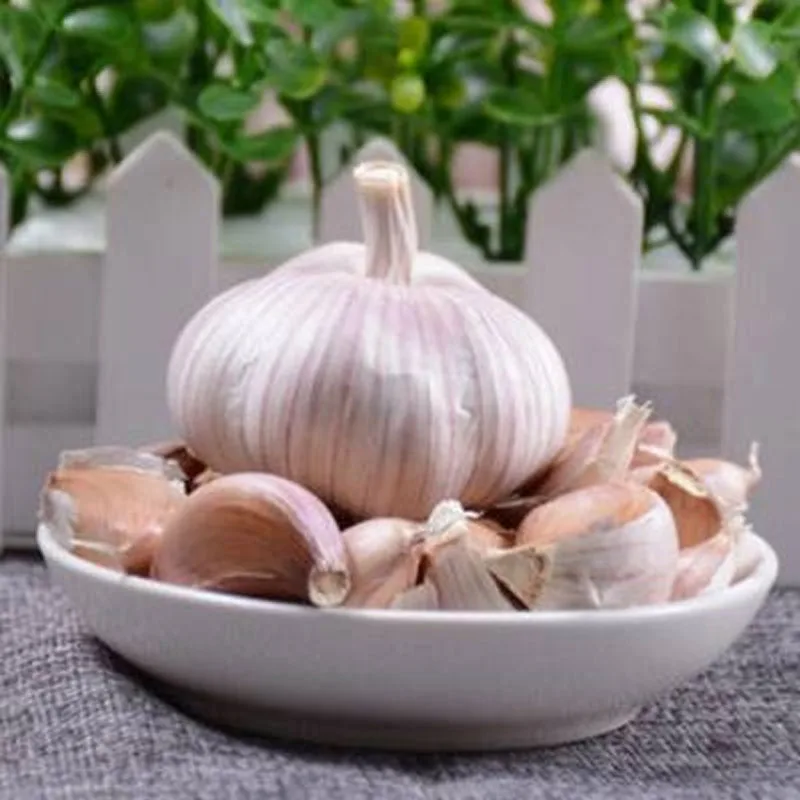 Stainless steel small commercial garlic peeling machine, automatic garlic peeling machine