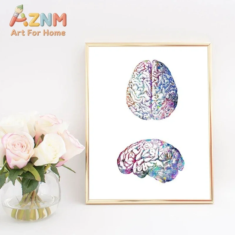 AZNM Colorful Human Brain Anatomy Canvas Wall Art Frameless Watercolor Medical Science Print Poster for Home Office Wall Decor