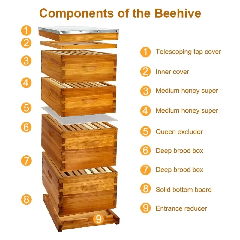Beeswax Dipped 8 Frame Langstroth Complete Beehive Starter Kit With 2 Deep Brood Boxes 2 Medium Supers Beekeeping Hive