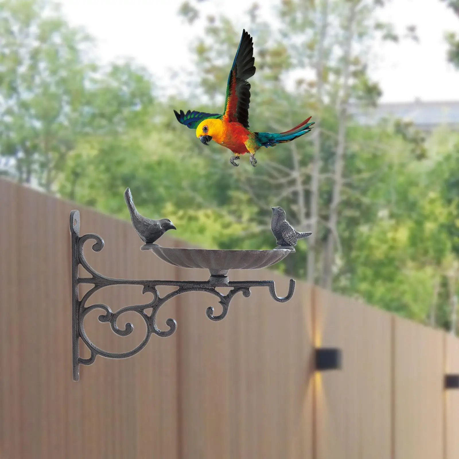Wall Mounted Bird Bath Feeding Bowl Heavy Duty Lovely Birds Hanger Wall Hook for Back Outside Hanging Baskets Yard Deck Garden