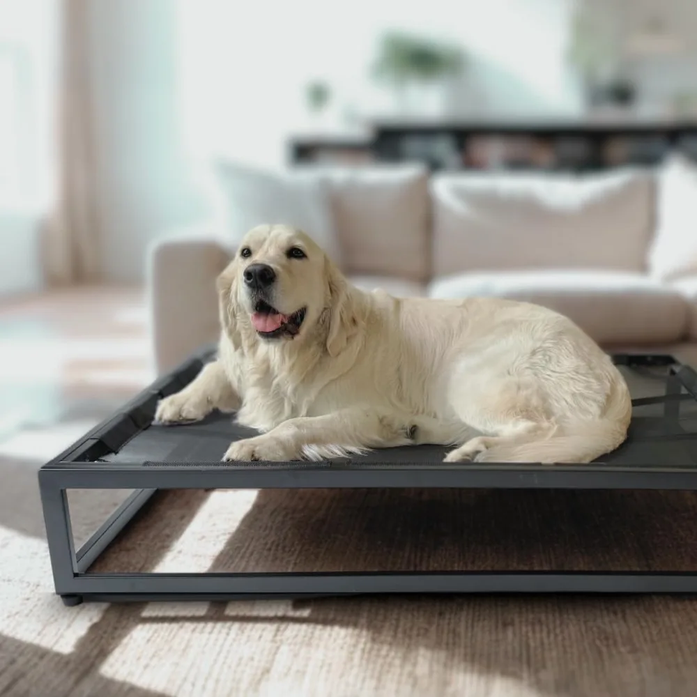 سرير كلب مرتفع فاخر من FUZI، سرير أليف مرتفع للاستخدام الداخلي والخارجي، مقاوم للمضغ ومتين، تصميم مسامي للراحة #4