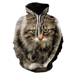 Men Hoodies 3D Print Cute Animal Cat Graphic Men Sweatshirt Harajuku Hooded Autumn Casual Streetwear Pullovers Men Clothing Tops