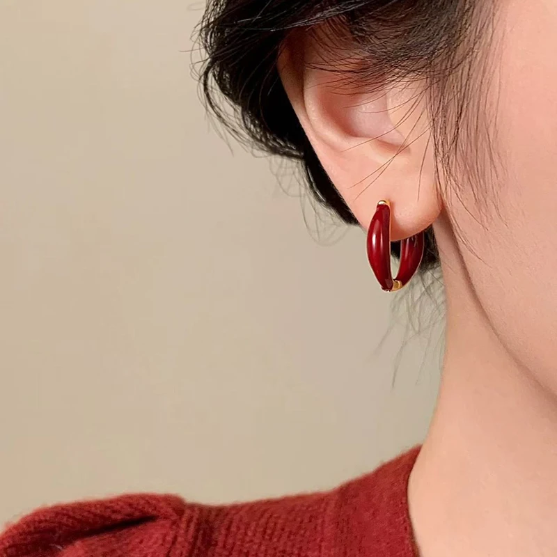 925 Silver Needle Encore Red Round Hoop Earrings For Women Party Classic Fine Jewelry Light Luxury Exquisite Accessories view 5