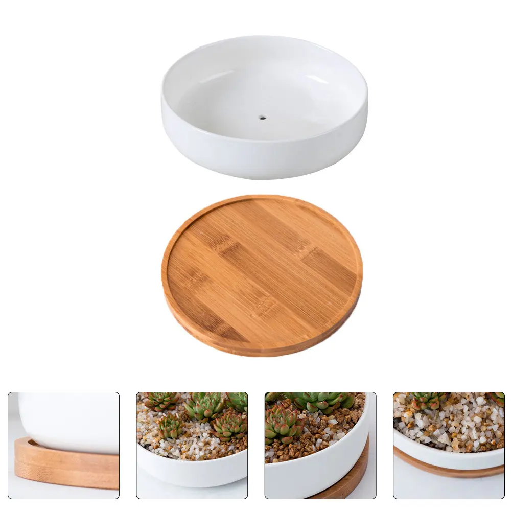 

Succulent Ceramic Planter Pot with Drainage Saucer Sturdy Ecofriendly Flowerpot for Indoor Outdoor Gardening Home Kitchen Living