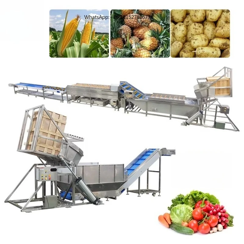 Fruit and Vegetable Discharging Machine Industrial Potato Carrot Pineapple Corn Crate Dumper Feeder Machine