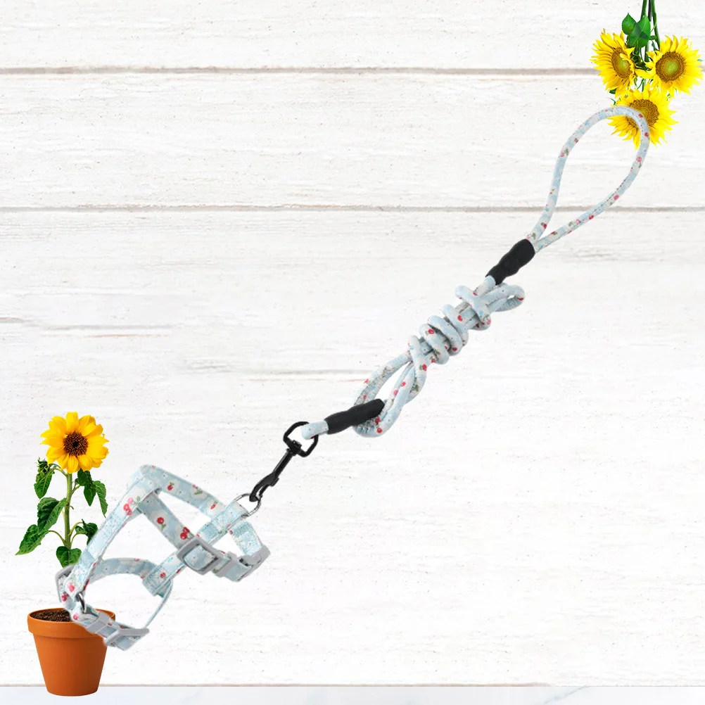 

Cat Harness Strap Adjustable Lightweight Flower Pattern Pet Traction Rope For Outdoor Walking Supplies Sky-Blue M