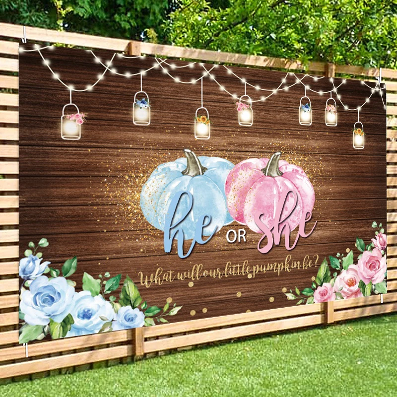 Fondo de revelación de género de calabaza, cartel de He o She What Will Pumpkin Be, decoración de fiesta para niño o niña, fondo de fotografía