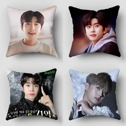 Lim Young-Woong Pillow Cover Bedroom Home Office Decorative Pillowcase Square Zipper Pillow Cases Satin Fabric Eco-Friendly 0425