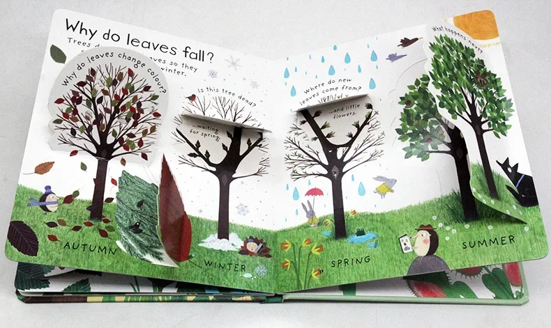 Usborne First Questions And Answers How Do Flowers Grow, Children's books aged 3 4 5 6, English picture book, 9781409582137