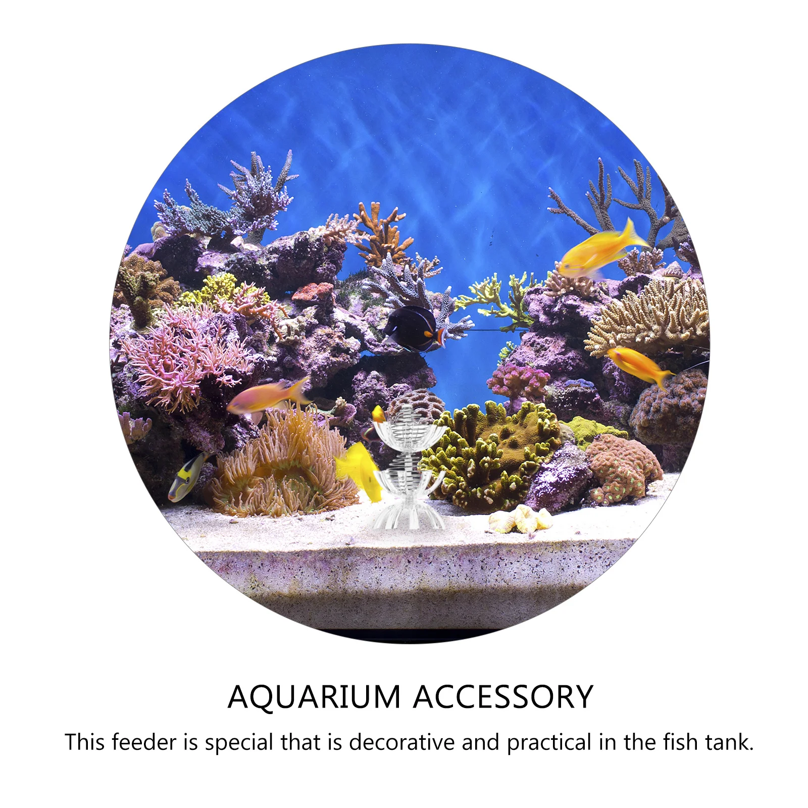 

1Set Shrimp Feeder Cage High Brightness Smooth Aquarium Accessory Fish Hideout Hut Shrimp Feeder Fish Hideout Hut