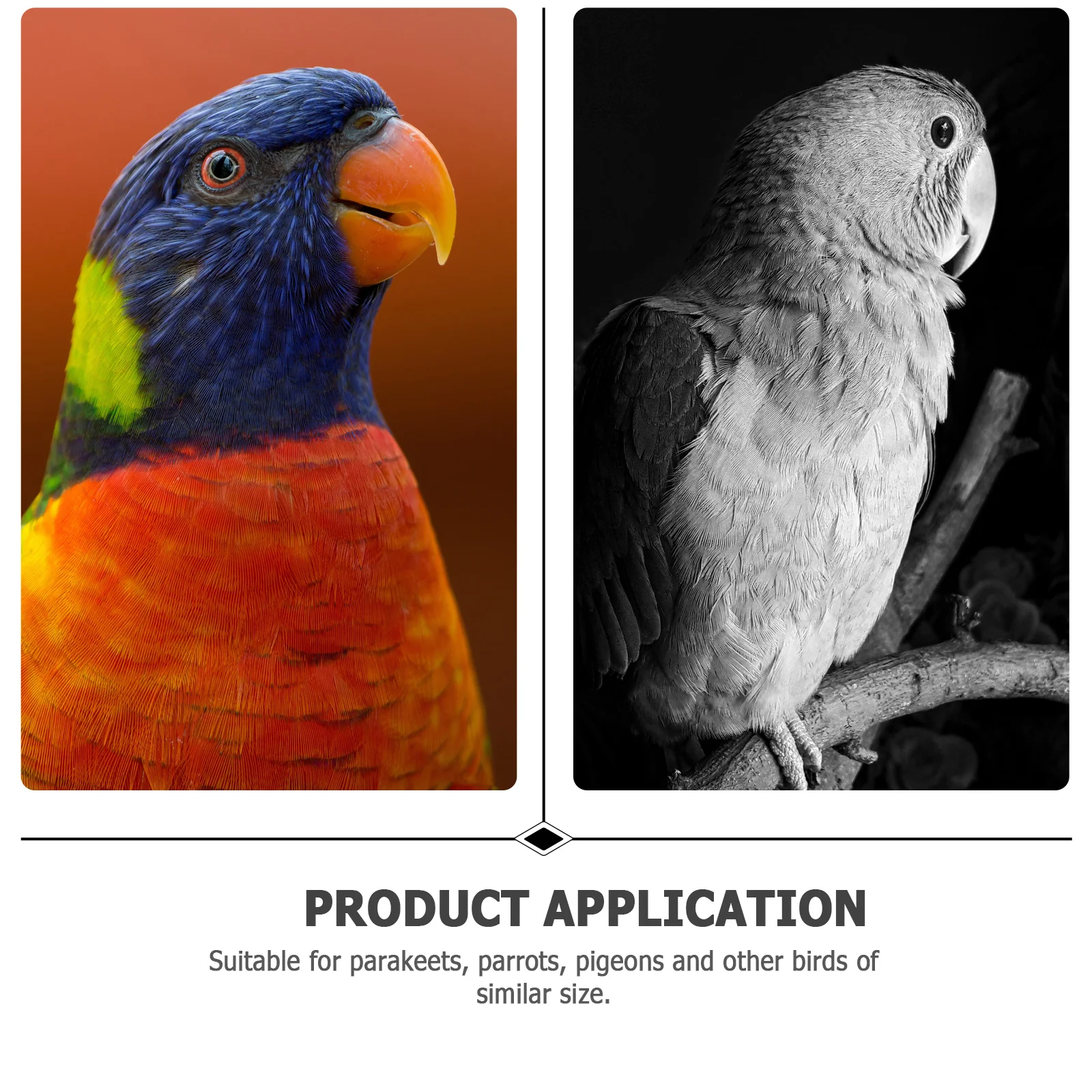 

Parrot Diaper Bowknot Design Comfortable Waterproof Pet Bird Pant Suitable for Parakeet Cockatiel Pigeon Prevent Urine Leakage