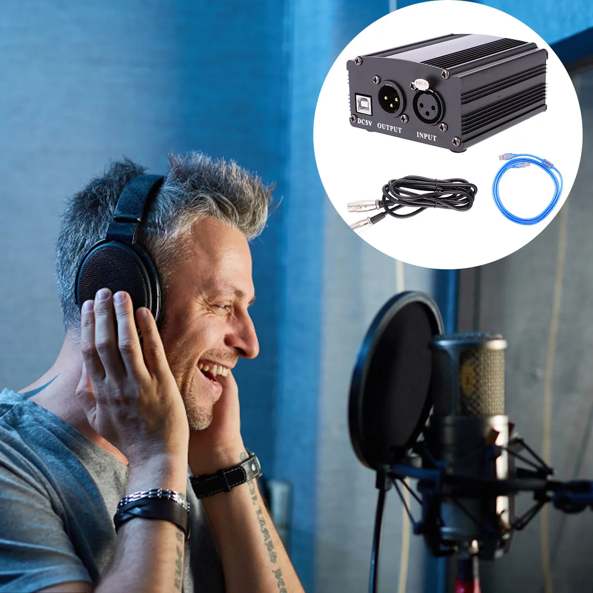 48V USB Power Supply With And Circuit For Studio Microphone Recording Live Performance